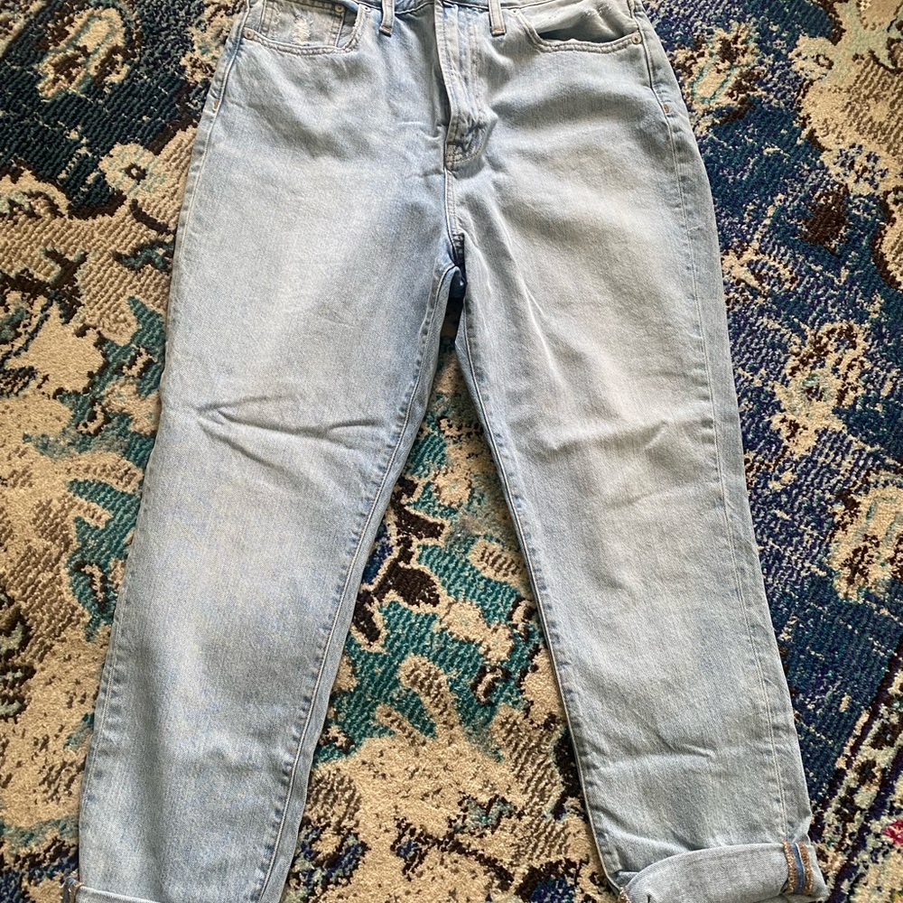 The Curvy Perfect Vintage Jean (NWOT)